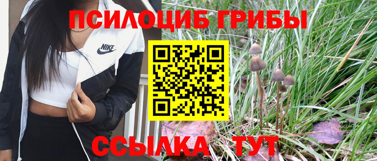 Псилоцибиновые грибы Psilocybine cubensis  Вход с VPN  Северск  Галлюциногенные грибы Magic Shrooms 